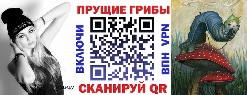 Купить  Таштагол  Галлюциногенные грибы GOLDEN TEACHER 